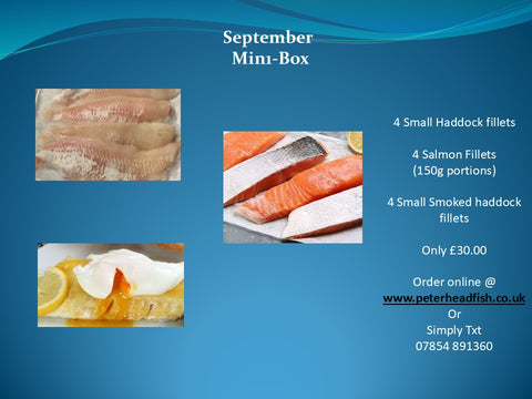 September Mini Box
