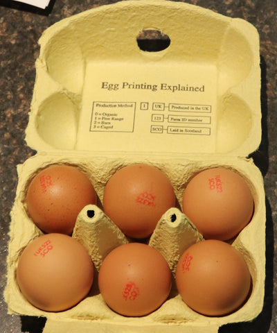 Fresh Eggs £3.50 for 1 dozen