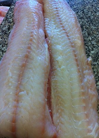 Rock Turbot Fillets